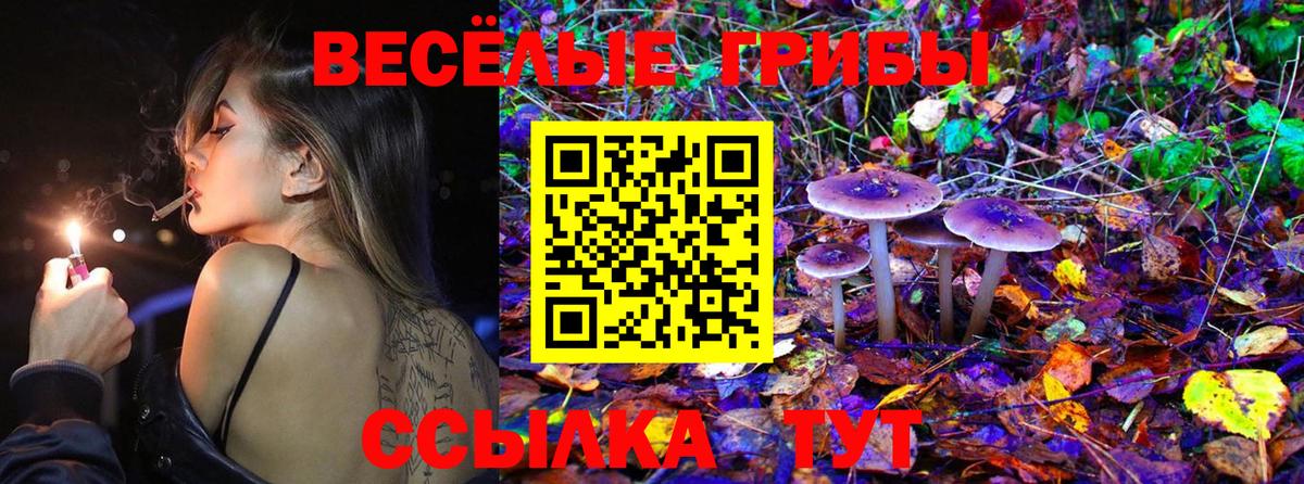 Светлоград  Псилоцибиновые грибы прущие грибы  Вход с VPN 